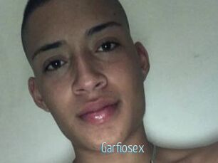Garfiosex