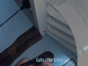 Gate_charlotee