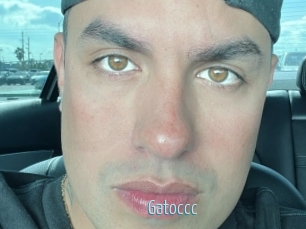 Gatoccc