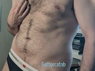 gattorcatnb Video Sexe