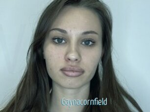 Gaynacornfield
