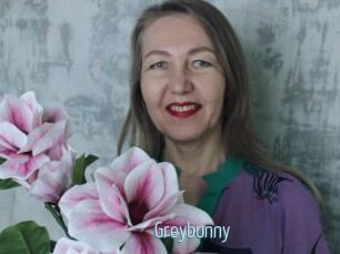 Greybunny