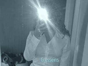 Grosseins