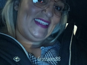 Grosseins88