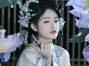 Guohui