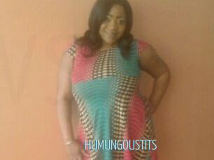 HUMUNGOUSTITS
