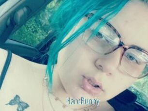 HareBunny