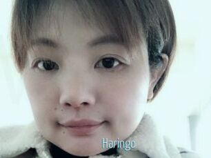 Haringo