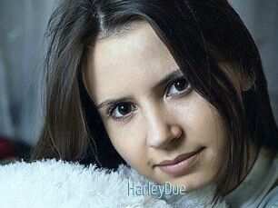 Harley_Due