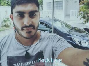 Harold_horny