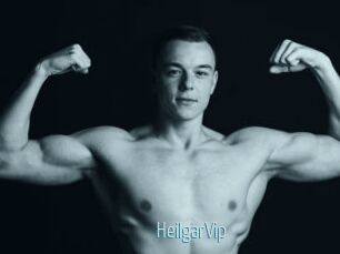 HeilgarVip
