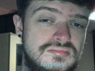 HornyMale96