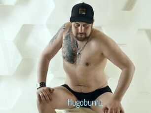 Hugoburn1