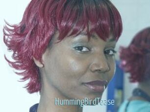 HummingBirdTease