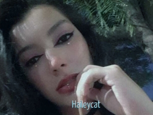 Haileycat