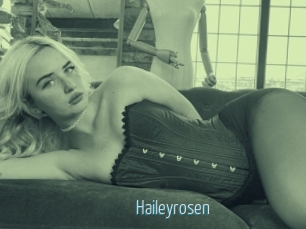 Haileyrosen