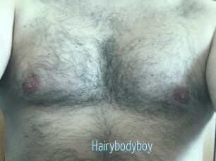 Hairybodyboy