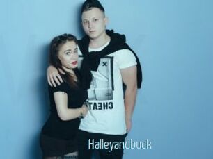 Halleyandbuck
