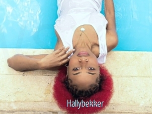 Hallybekker