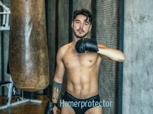 Hamerprotector