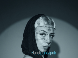 Handipandapok