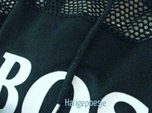 Harigepoesje