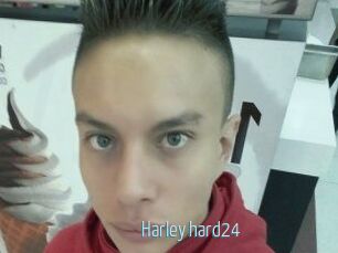 Harley_hard24
