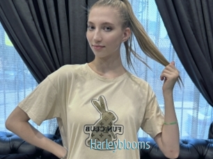Harleyblooms