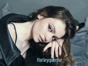 Harleyquense