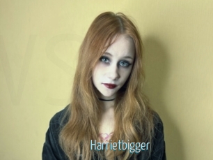 Harrietbigger