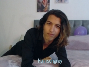Harrisongrey
