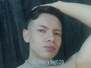 Harry_big029