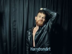 Harrybsmdirt
