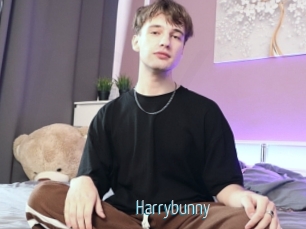 Harrybunny