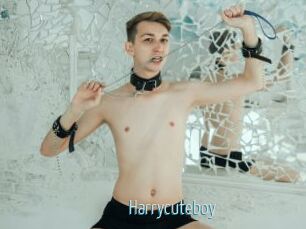 harrycuteboy Video Sexe