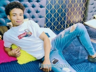 Harrymontanaa