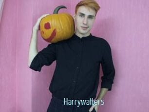 Harrywalters