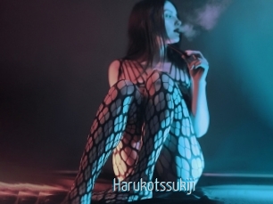 Harukotssukiji