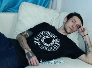Harveyhayes