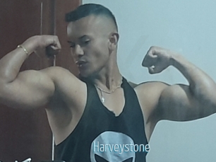 Harveystone
