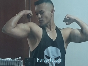 Harveytecson