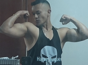 Harveytuquer