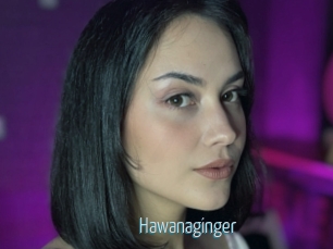 Hawanaginger