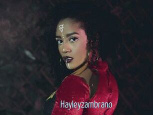 Hayleyzambrano