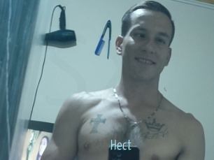 Hect