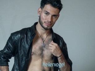 Heilervogel