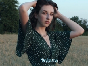 Heylarose