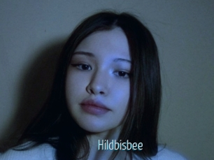 Hildbisbee