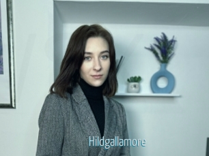 Hildgallamore
