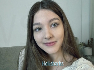 Hollisbarks
